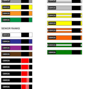Belt